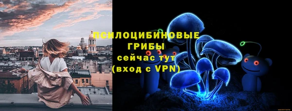 гидра Алексин