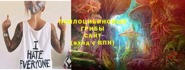 прущая мука Алзамай