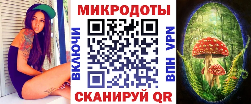 Купить где  Ачхой-Мартан  Галлюциногенные грибы Psilocybine cubensis 