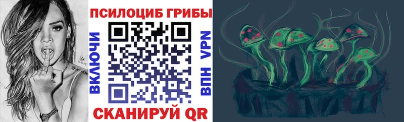 Галлюциногенные грибы Cubensis Ачхой-Мартан